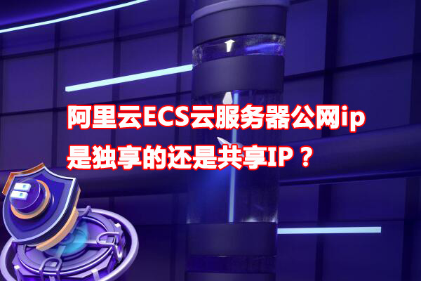 阿里云ECS服务器公网ip是独享的还是共享IP